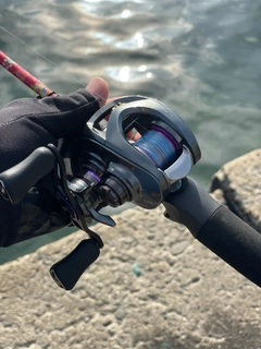 DAIWA 19スティーズ CT SV TW 700XHLの最安値・インプレ・釣果