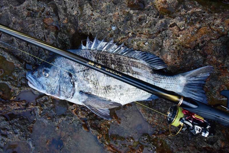SHIMANO 21鱗海スペシャル 0.6-530の最安値・インプレ・釣果