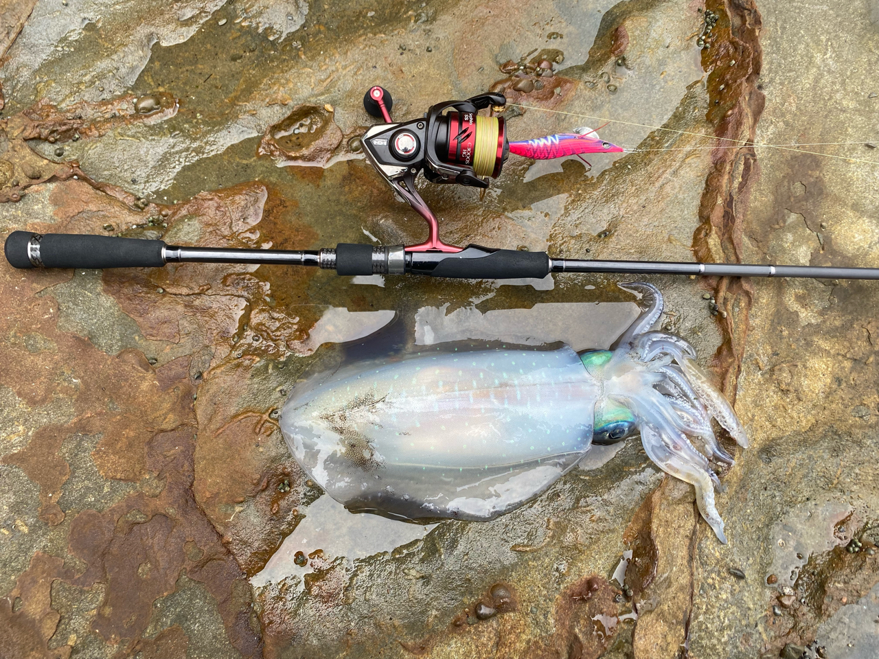 MajorCraft エギゾースト 5G Medium Light & Medium EZ5