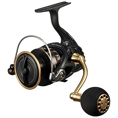 DAIWA BG SW 5000D-CXH