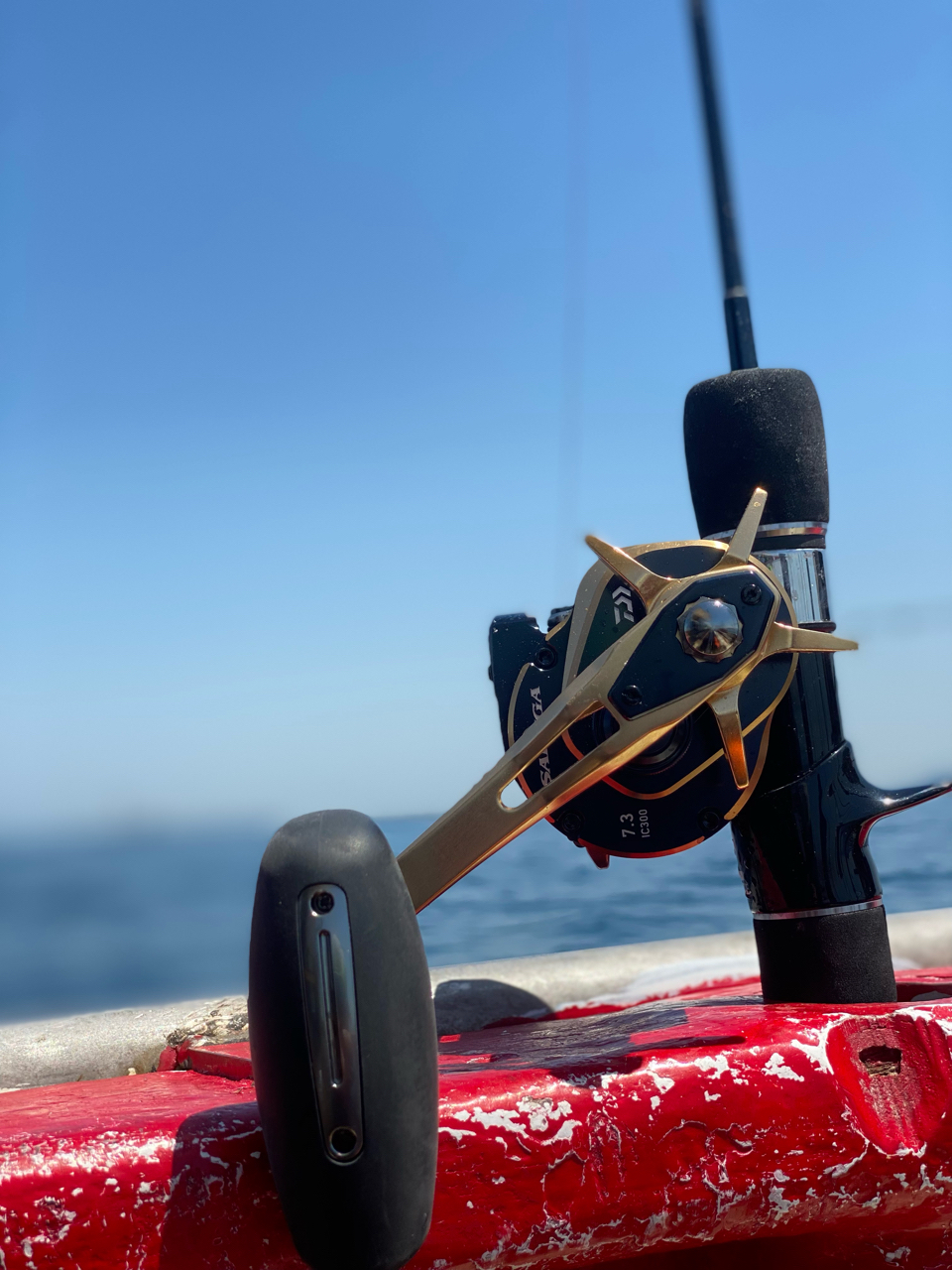 DAIWA 21ソルティガ IC 300H-SJのインプレ一覧 | 本音の口コミが DAIWA 21ソルティガ IC 300H-SJのインプレ一覧 | 本音の口コミが