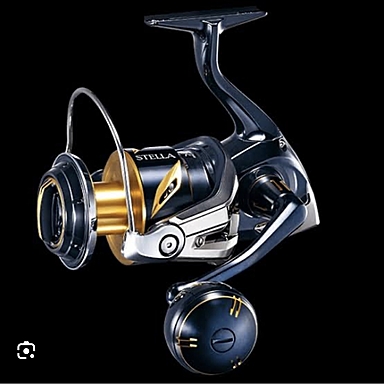 SHIMANO STELLA SW 8000PG