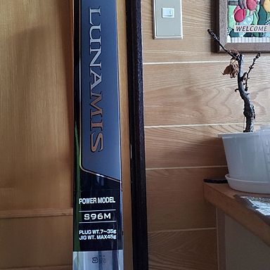SHIMANO LUNAMIS S96M