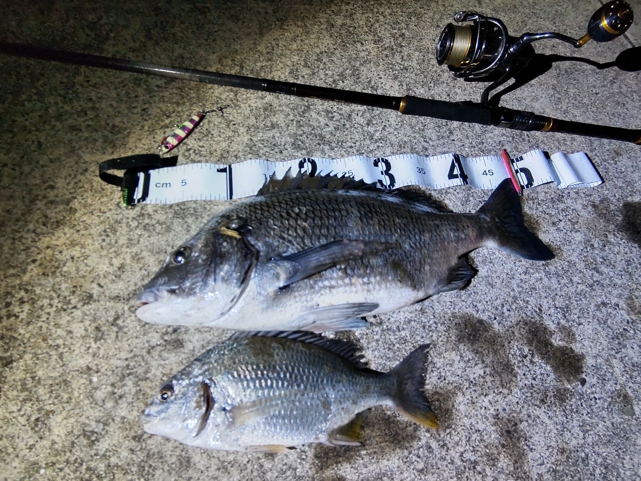DAIWA 20オーバーゼア エア 103Mの最安値・インプレ・釣果 | 本音の