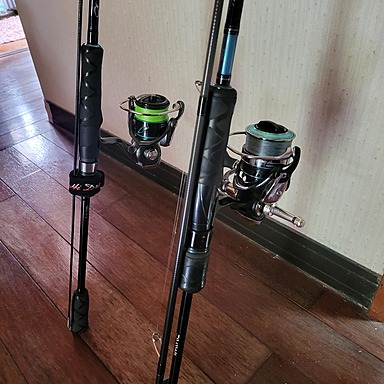 DAIWA EMERALDAS X IL 79ML