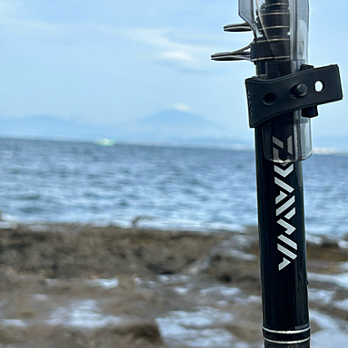 DAIWA LIBERTY CLUB TACHIUO 4号-48