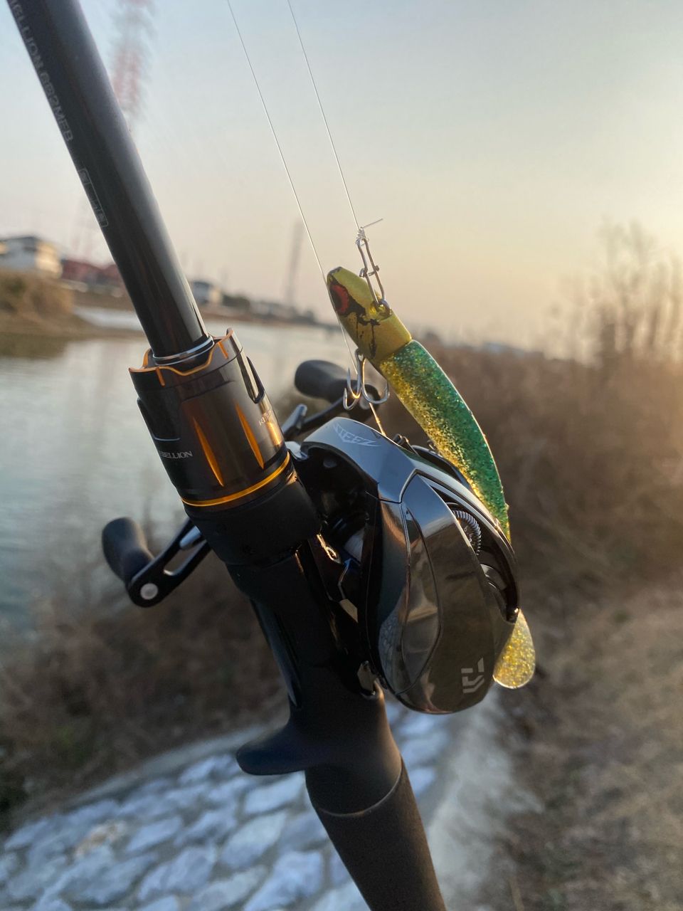 DAIWA 20スティーズ リミテッド SV TW 1000Lの最安値・インプレ・釣果