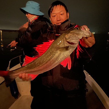 Fishman Beams CRAWLA 6.6L＋ クローラ6.6Lプラス