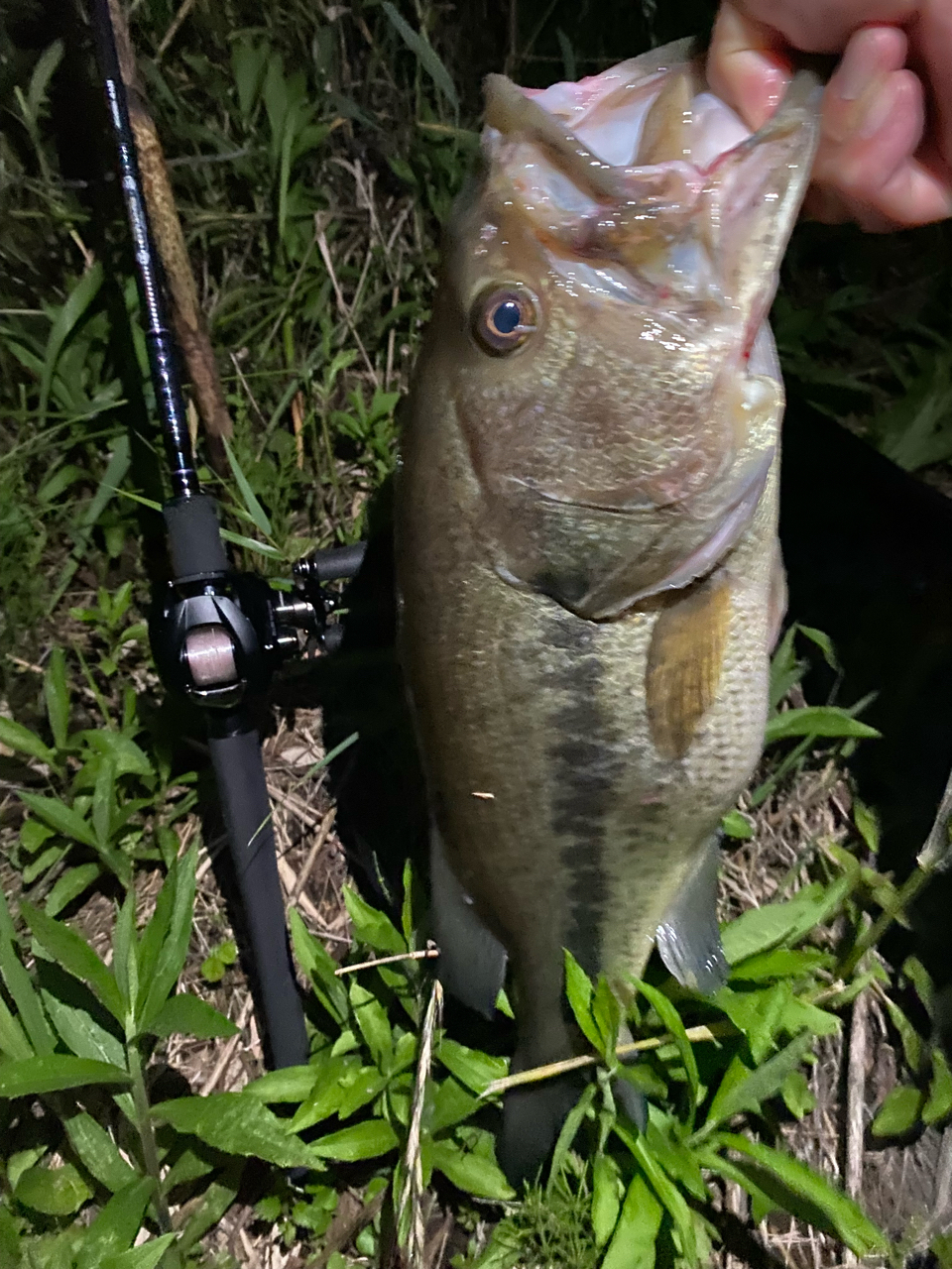 DAIWA ハートランド 2018年モデルの最安値・インプレ・釣果