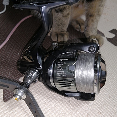 SHIMANO EXSENCE BB C3000MHG