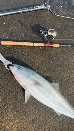 SHIMANO 19スコーピオン 2832RS-2の最安値・インプレ・釣果 SHIMANO 19スコーピオン 2832RS-2の最安値・インプレ・釣果