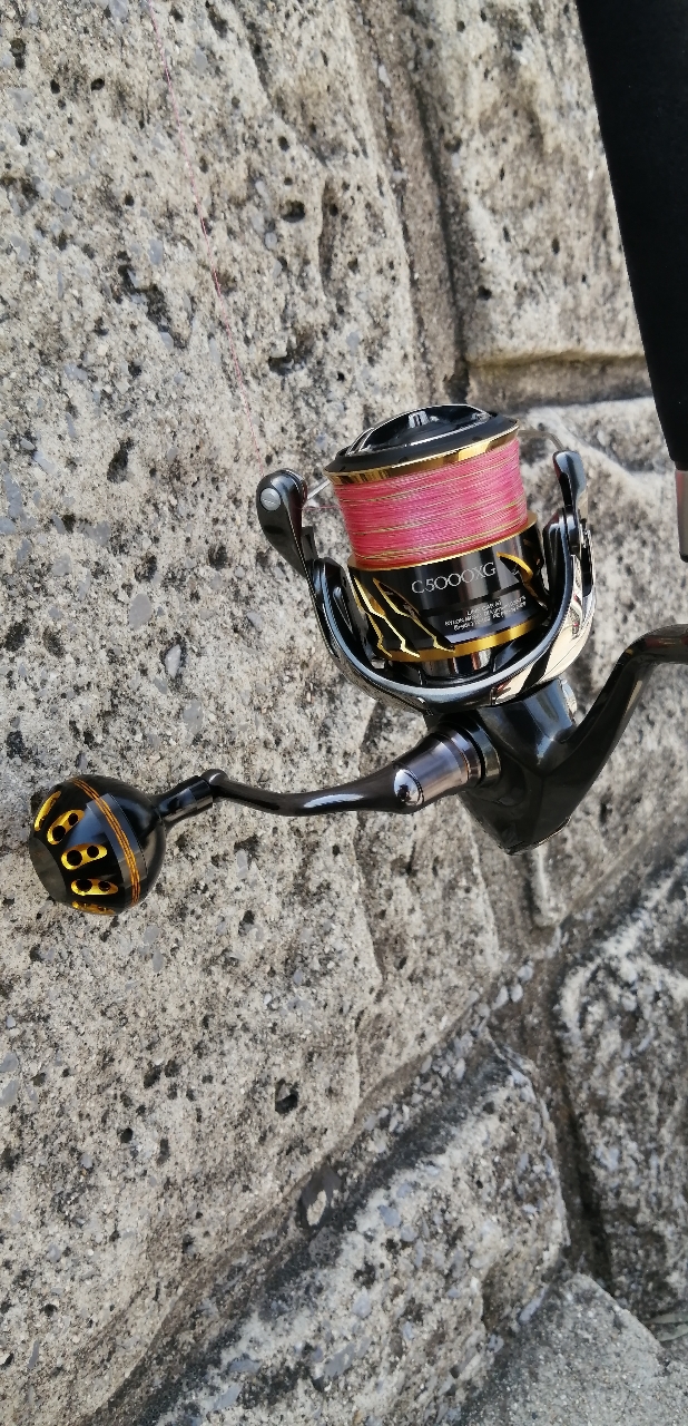 SHIMANO 20ツインパワー C5000XGの最安値・インプレ・釣果