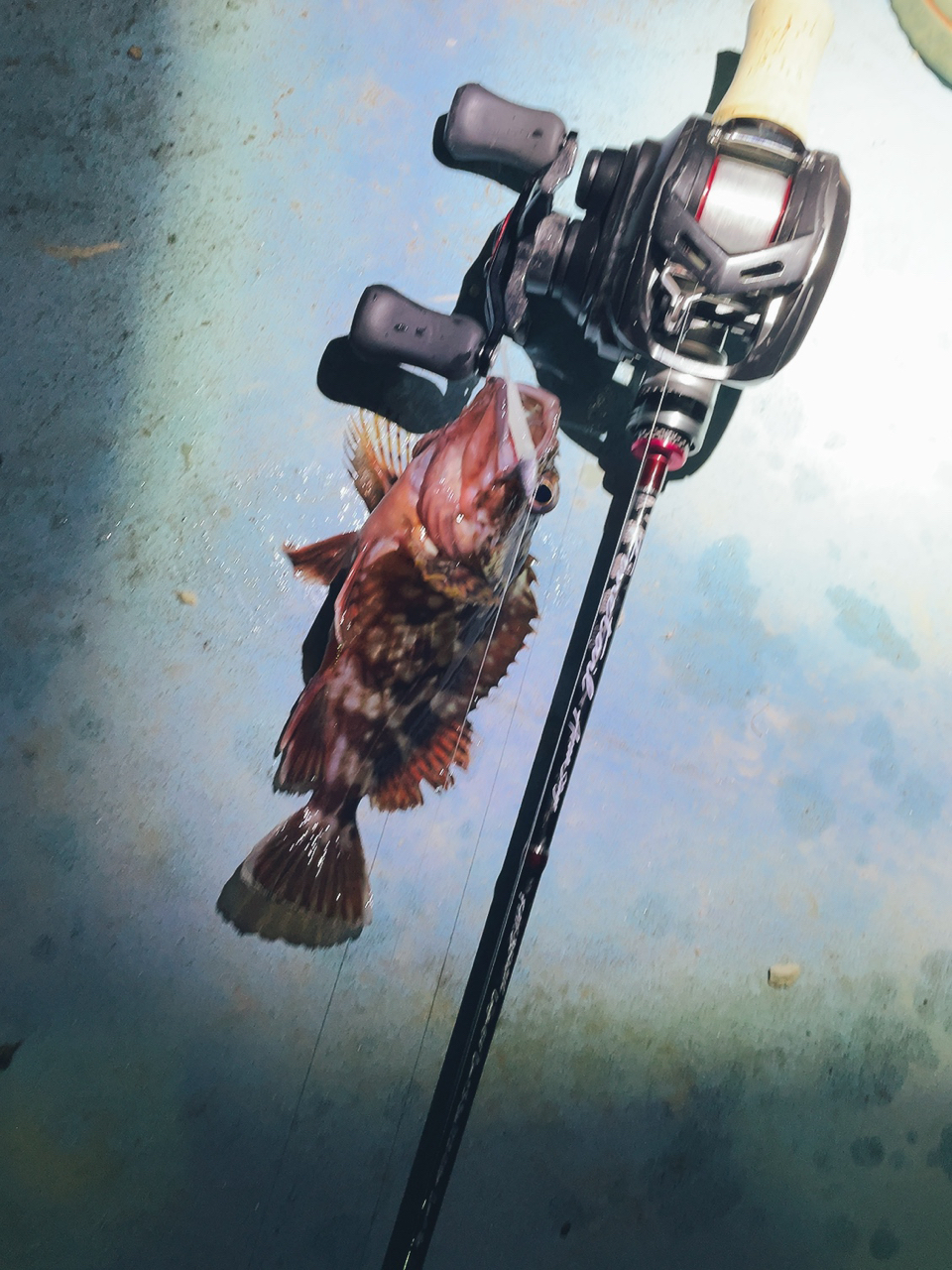 DAIWA 21月下美人 AIR TW PE SPECIALのインプレ一覧 | 本音の DAIWA 21月下美人 AIR TW PE SPECIALのインプレ一覧 | 本音の