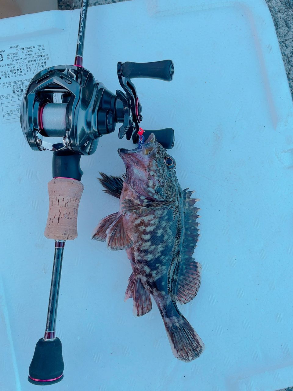 DAIWA 21月下美人 AIR TW PE SPECIAL 8.5Rの最安値・インプレ