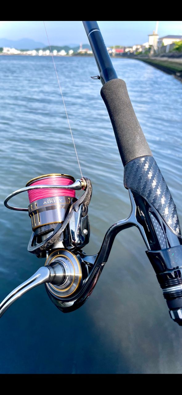 DAIWA 21ルビアス エアリティ LT3000-XHの最安値・インプレ