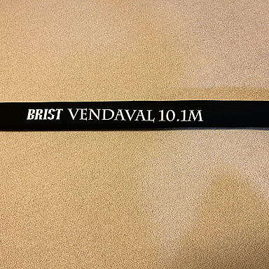 Fishman BRIST VENDAVAL10.1M FBR-101M ブリスト ベンダバール