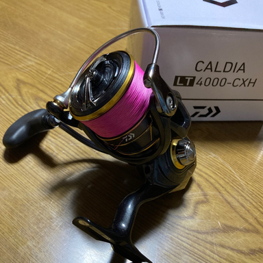 DAIWA CALDIA LT4000-CXH