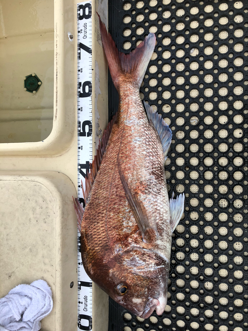 SHIMANO 21クロスミッション BB S66ML-Sの最安値・インプレ