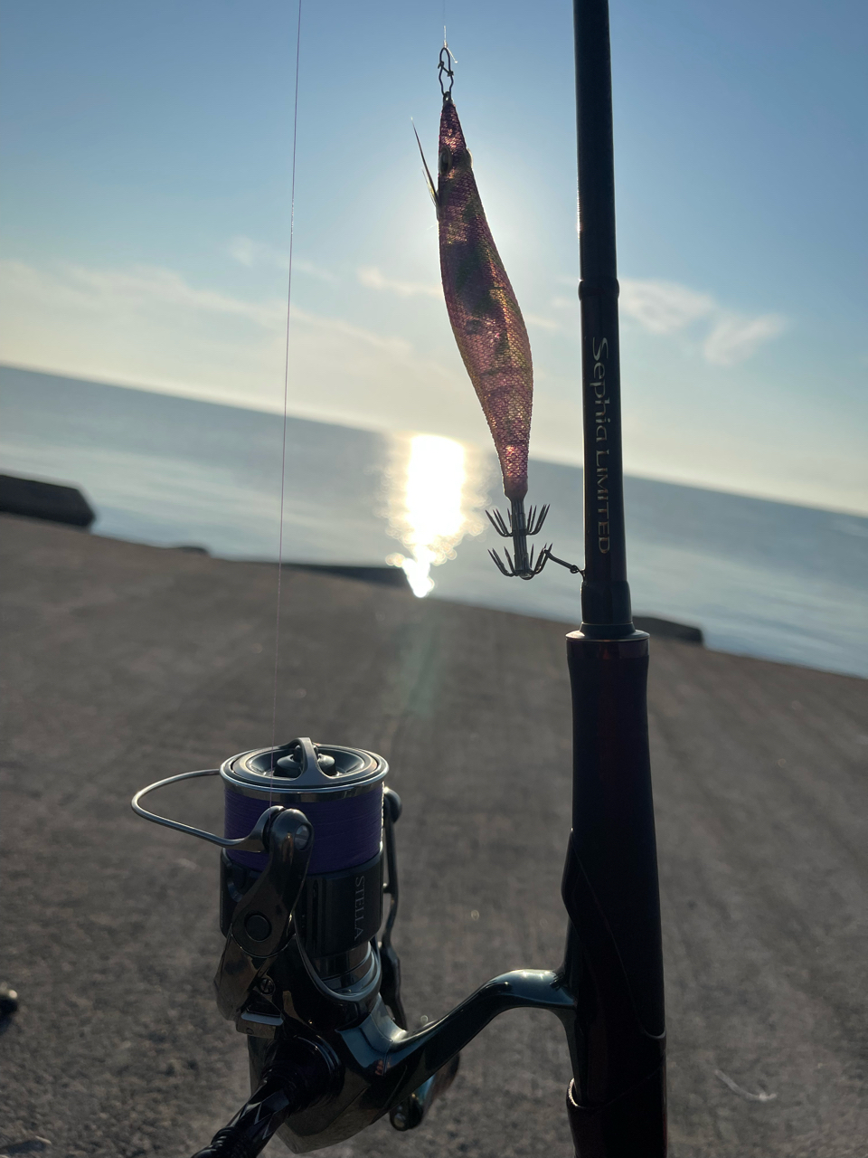 SHIMANO 19セフィア リミテッドのインプレ一覧 | 本音の口コミが