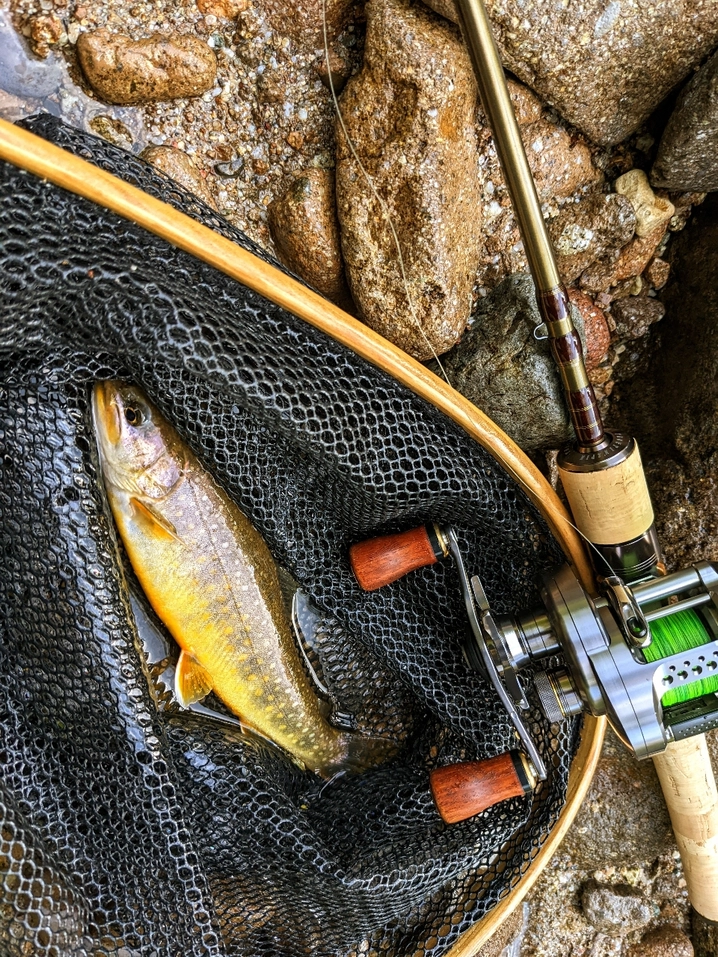 本音の口コミが集まる釣具通販「TACKLE BOX」