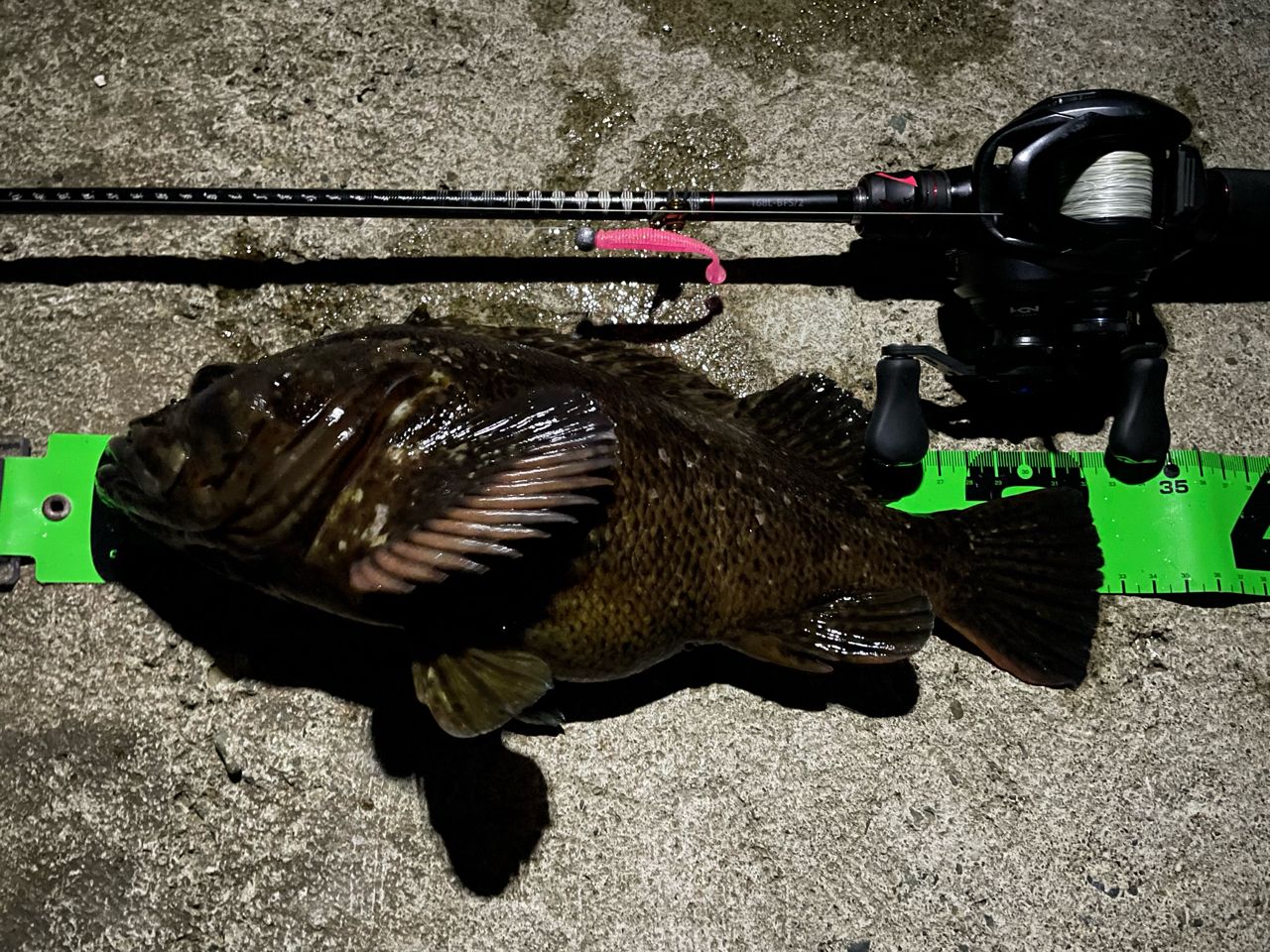 YGKよつあみ エックスブレイド オルトロスPE WX8 フィネスシャングリラ