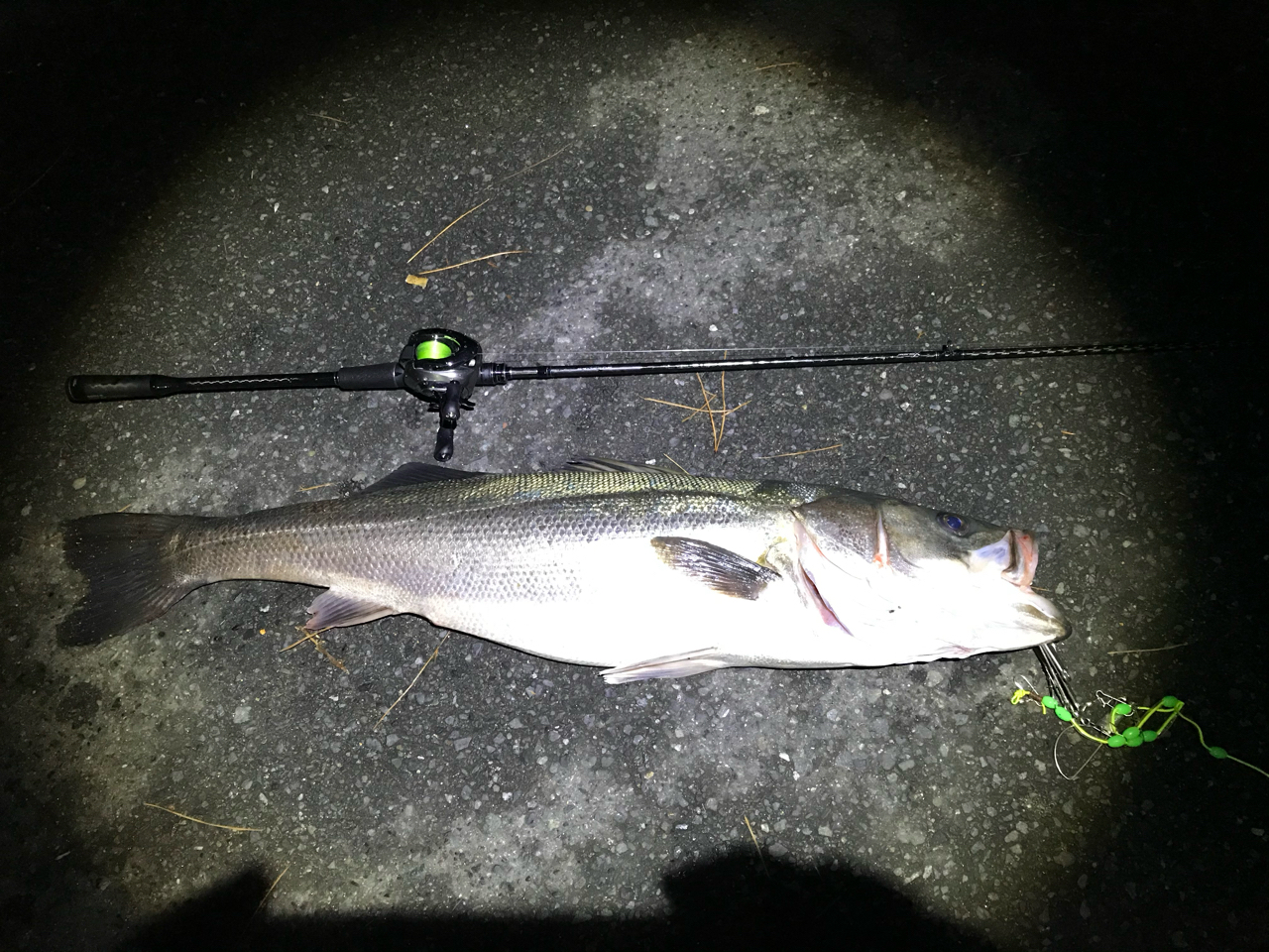 シマノ(SHIMANO) 20 エクスセンス ジェノス B88M/R エクスセンス