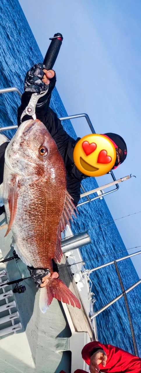 DAIWA 20紅牙 エアポータブル N69HB-S APの最安値・インプレ
