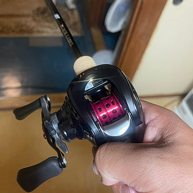 DAIWA BLACK LABEL SG 661UL+FB