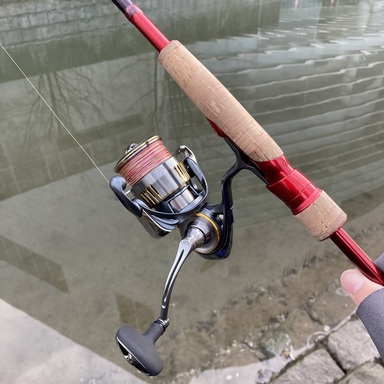 DAIWA AIRITY LT3000-H