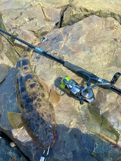 DAIWA 23エアリティ PC LT2500-Hの最安値・インプレ・釣果 DAIWA 23エアリティ PC LT2500-Hの最安値・インプレ・釣果