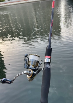 DAIWA 23エアリティ LT3000-Hの最安値・インプレ・釣果 | 本音の DAIWA 23エアリティ LT3000-Hの最安値・インプレ・釣果 | 本音の