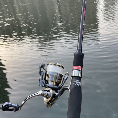 DAIWA AIRITY LT3000-H