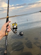 DAIWA 23エアリティ LT5000D-CXHの最安値・インプレ・釣果 DAIWA 23エアリティ LT5000D-CXHの最安値・インプレ・釣果