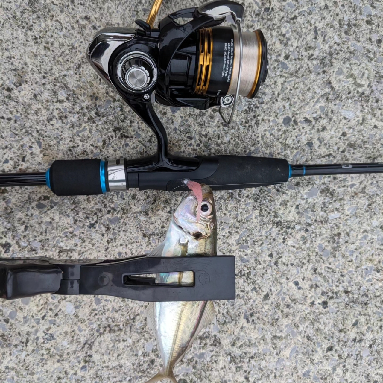 DAIWA 23レガリス LT2000S-XHの最安値・インプレ・釣果 | 本音の