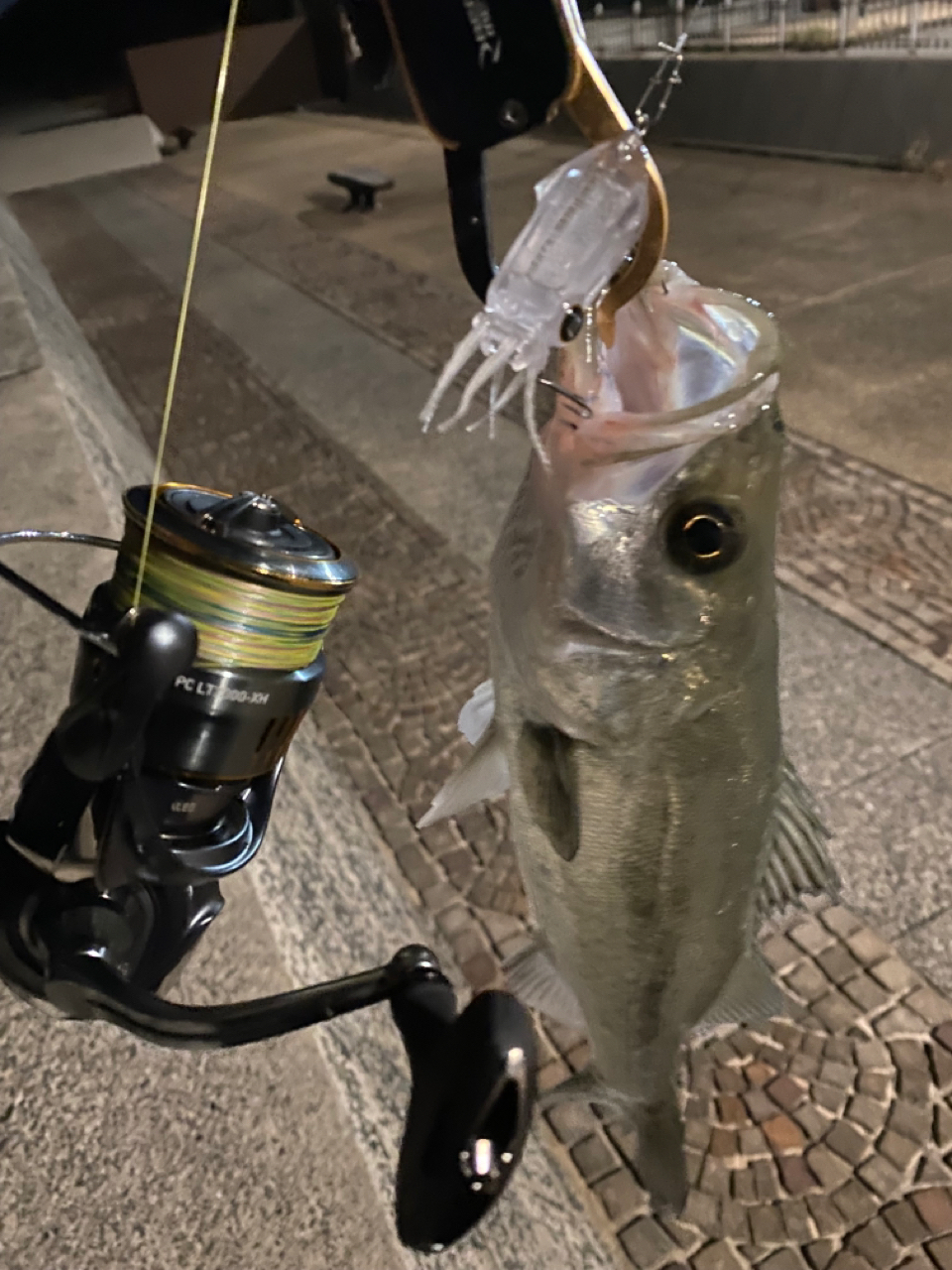 DAIWA 23エアリティ PC LT3000-XHの最安値・インプレ・釣果