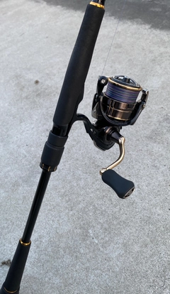 DAIWA 19バリスティック LT3000-XHの最安値・インプレ・釣果 DAIWA 19バリスティック LT3000-XHの最安値・インプレ・釣果