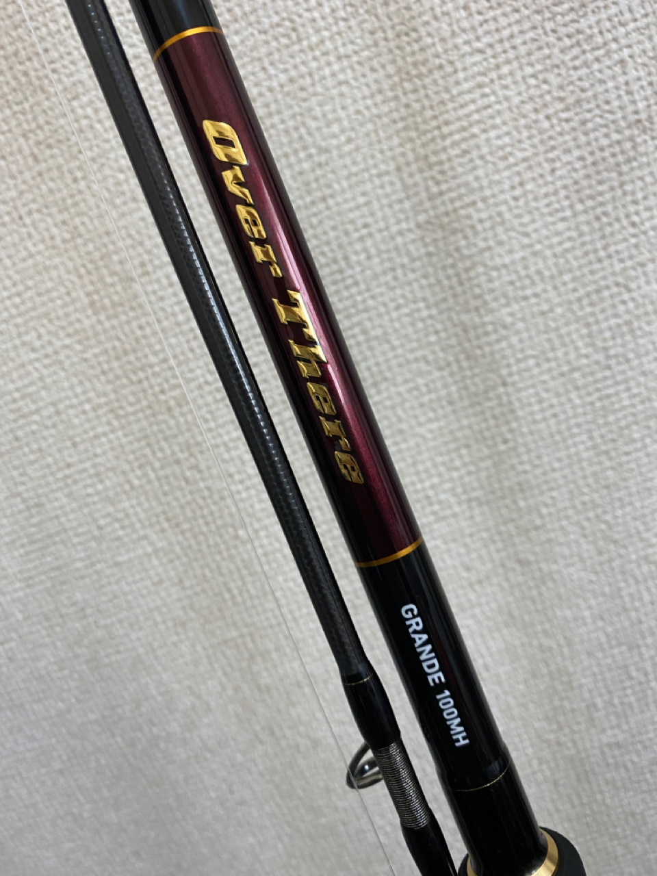 DAIWA 21オーバーゼア グランデ（ショアジギングモデル）の