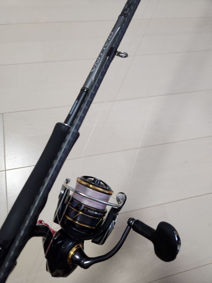 DAIWA 21カルディア LT4000-CXHの最安値・インプレ・釣果 | 本音の