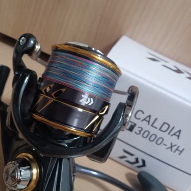 DAIWA CALDIA LT3000-XH