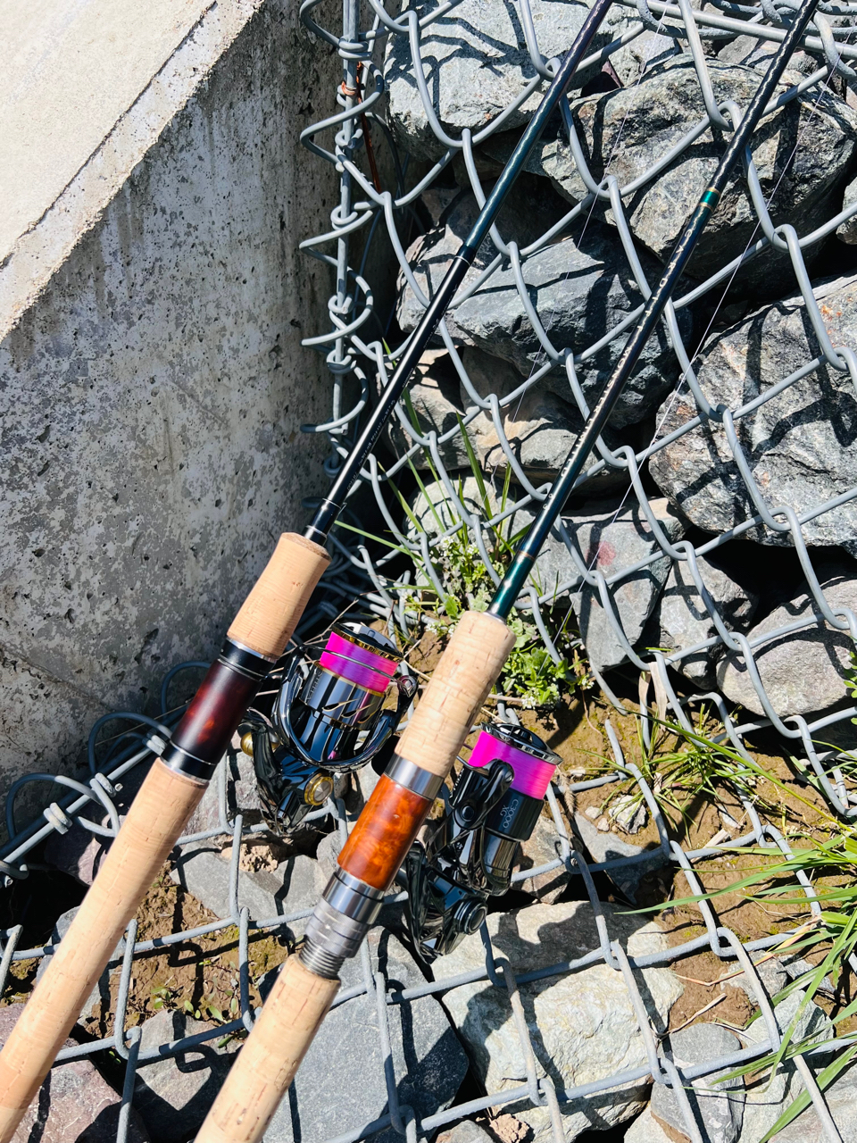 SHIMANO 18カーディフ モンスターリミテッド DP83MLの最安値