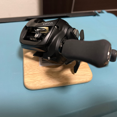 DAIWA TATULA TW 100 100XHL