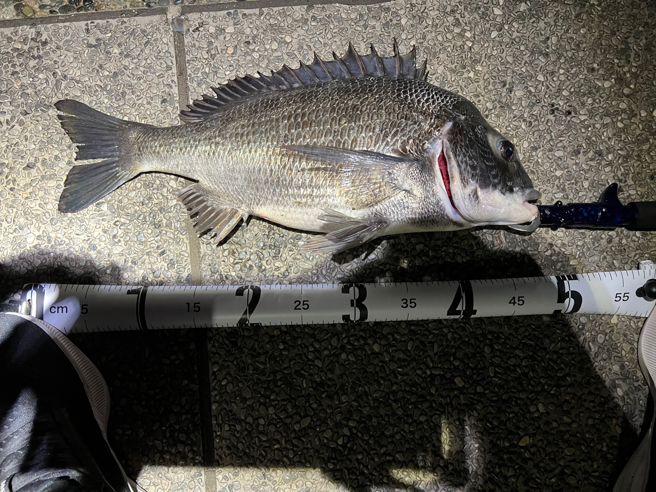 SHIMANO 19フリーゲーム XT S86MLのインプレ一覧 | 本音の口コミ