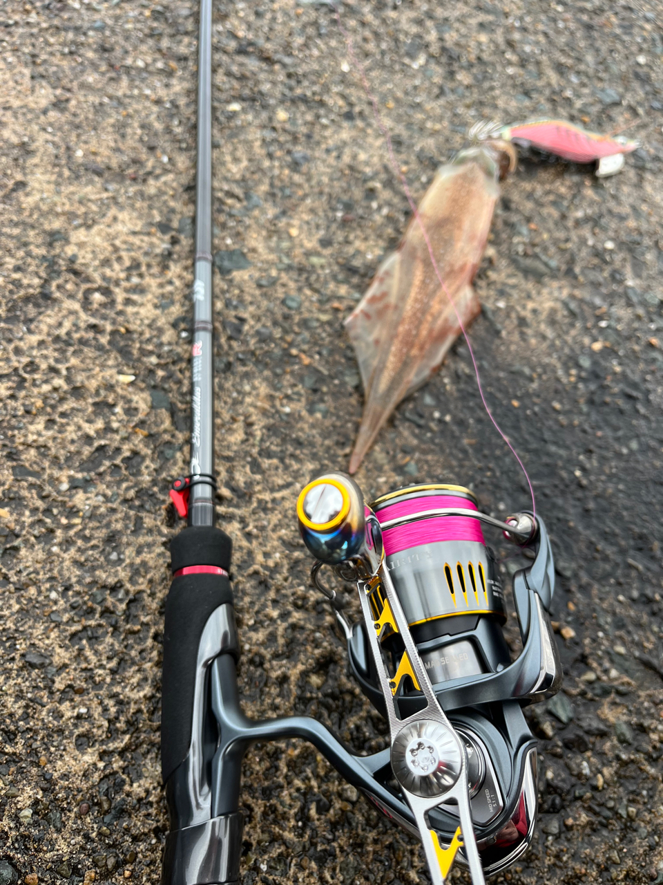 DAIWA 23エアリティ LT2500Sの最安値・インプレ・釣果 | 本音の