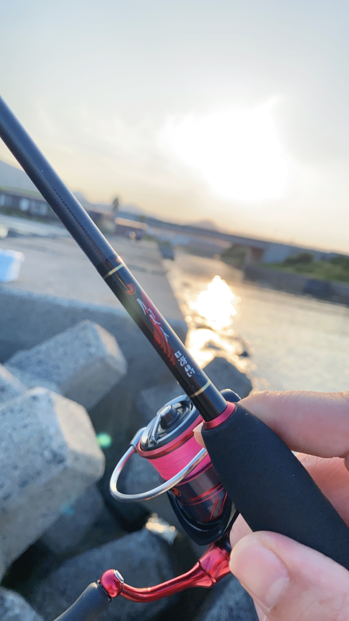 DAIWA 22月下美人 EX 68L-Tの最安値・インプレ・釣果 | 本音の口コミが集まる釣具通販「TACKLE BOX」