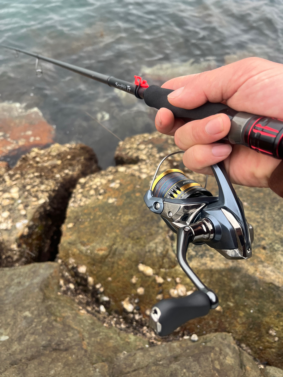 SHIMANO 20セフィア TTのインプレ一覧 | 本音の口コミが集まる