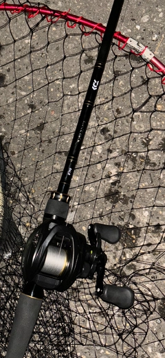 DAIWA ラテオ・R ベイトモデル 2020年モデルの最安値・インプレ DAIWA ラテオ・R ベイトモデル 2020年モデルの最安値・インプレ