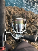 SHIMANO 18ステラ C3000SDHHGの最安値・インプレ・釣果 | 本音の SHIMANO 18ステラ C3000SDHHGの最安値・インプレ・釣果 | 本音の