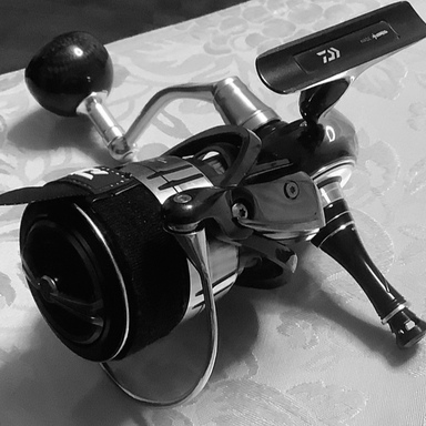 DAIWA CERTATE SW 6000-H