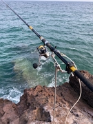 DAIWA 15バトルゲーム ガーラモンスター 12号-49遠投の最安値 DAIWA 15バトルゲーム ガーラモンスター 12号-49遠投の最安値