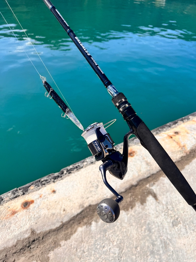 01C81B09-2015-4646-B1A9-  